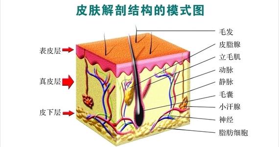 771771威尼斯.Cm